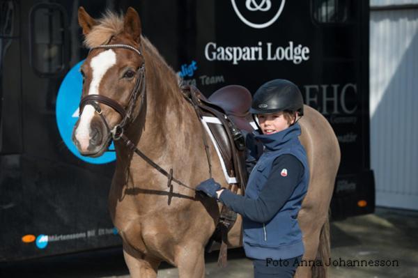 Gaspari Lodge Flyinge Bagian luar foto